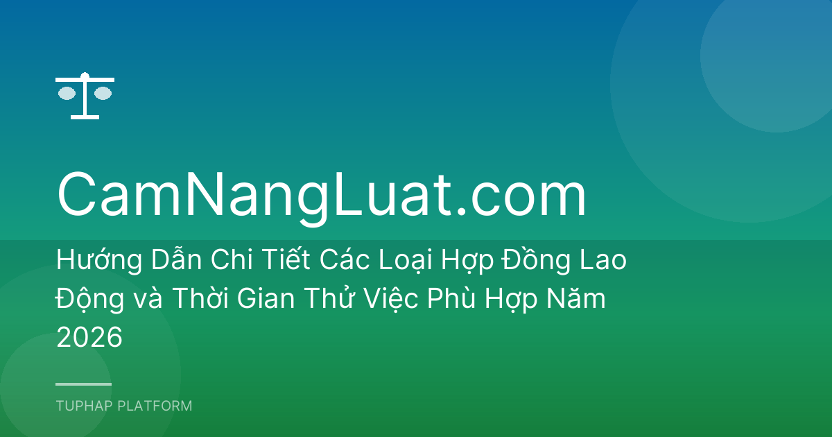 Hướng Dẫn Chi Tiết Các Loại Hợp Đồng Lao Động và Thời Gian Thử Việc Phù Hợp Năm 2026