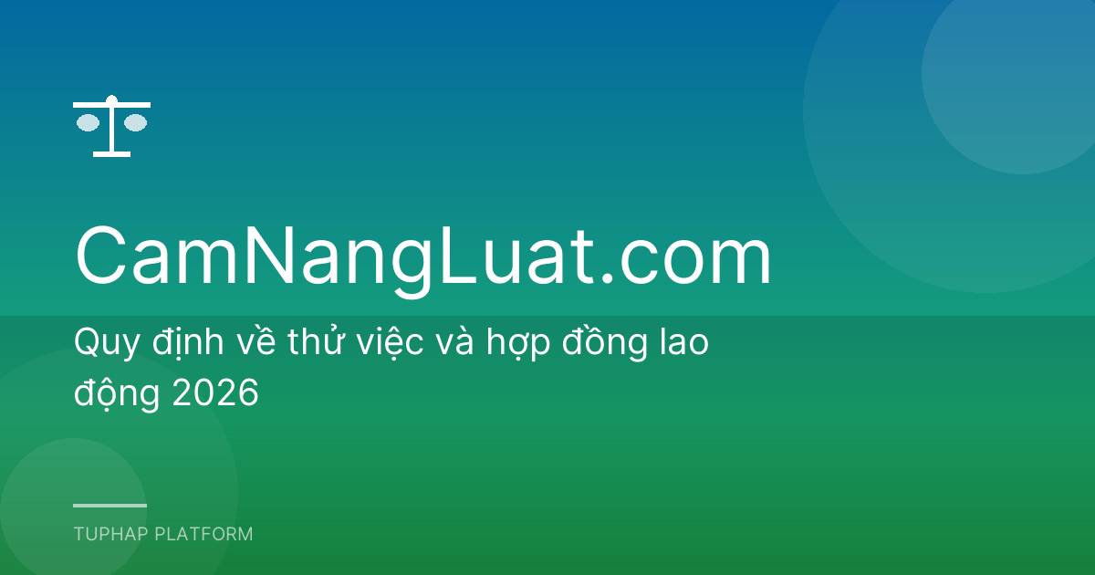 Quy định về thử việc và hợp đồng lao động 2026