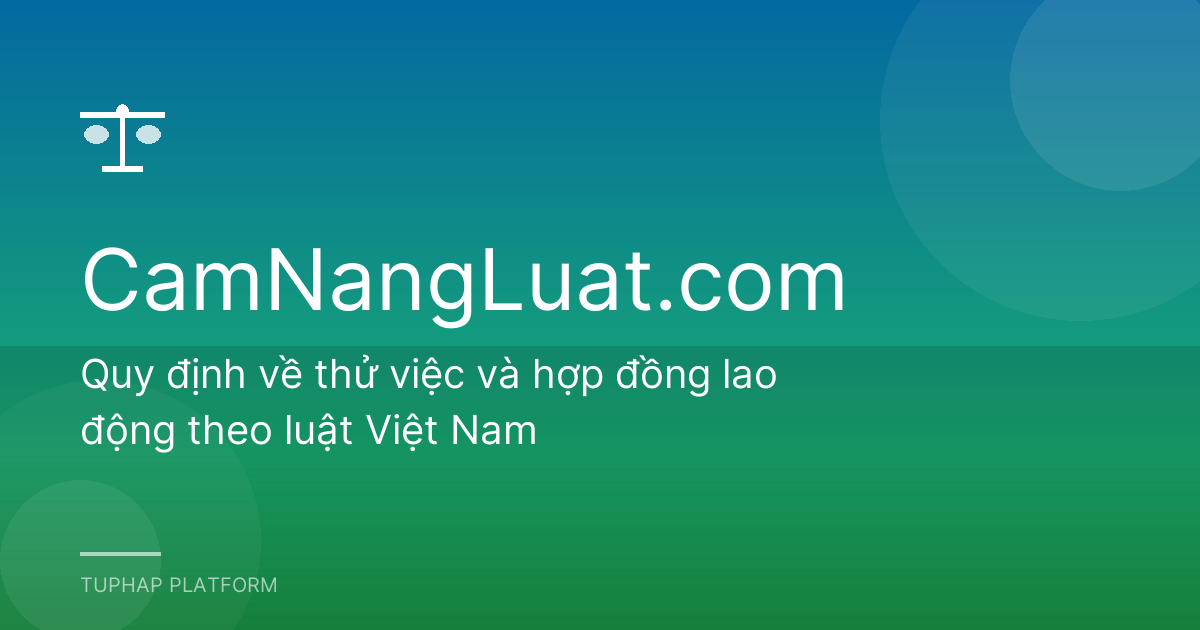Quy định về thử việc và hợp đồng lao động theo luật Việt Nam