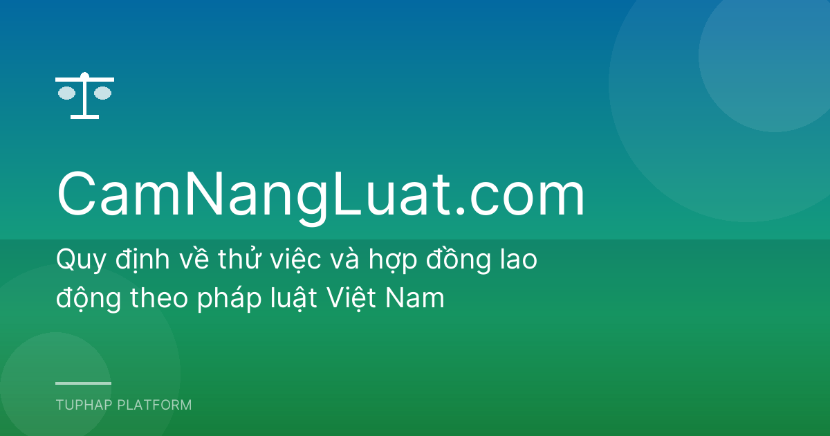Quy định về thử việc và hợp đồng lao động theo pháp luật Việt Nam