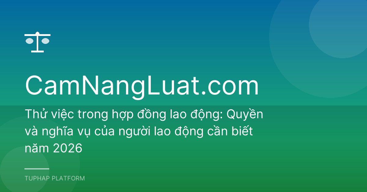 Thử việc trong hợp đồng lao động: Quyền và nghĩa vụ của người lao động cần biết năm 2026