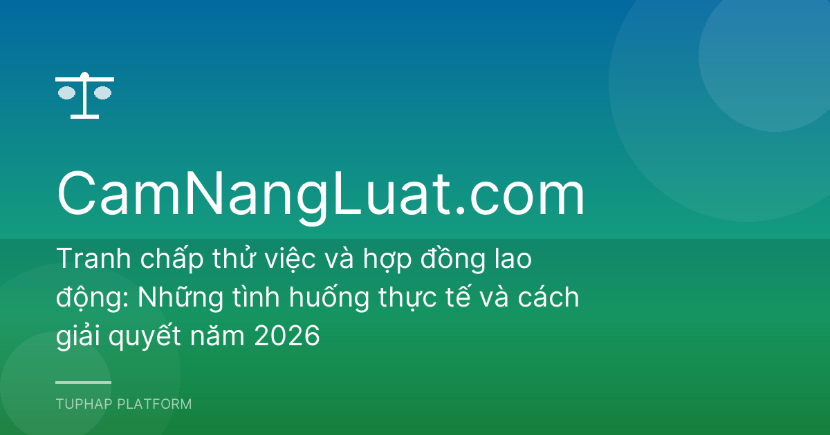 Tranh chấp thử việc và hợp đồng lao động: Những tình huống thực tế và cách giải quyết năm 2026